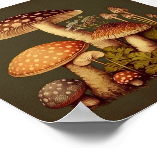 Vintage Pilzsammlung 1 Poster (Ecke)