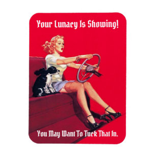 Vintage Pin-Up-Magnet Wahnsinn Magnet