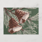 Vintage Pine Cone Weihnachtsglocken Postkarte (Vorderseite)
