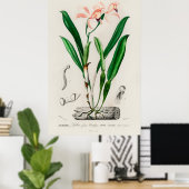 Vintage Pink Cattleya Orchid Botanical Poster (Heimbüro)