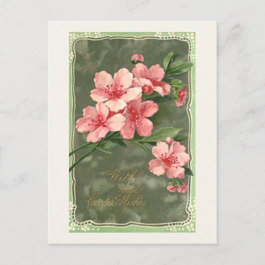 Vintage Pink Cherry Blüten und Ostergrüße Postkarte (Vorderseite)