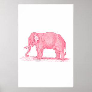 Vintage Pink Elephant 1800s Elephants Illustration Poster