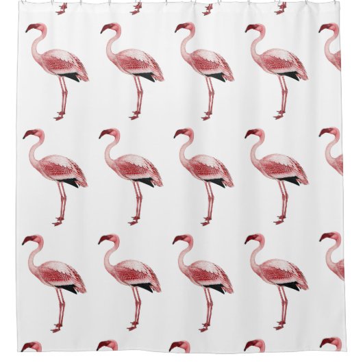 Vintage Pink Flamingo Malerei Duschvorhang (Vorderseite)