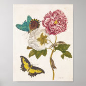 Vintage Pink Peony Flower, Floral Illustration Poster (Vorne)