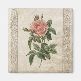 Vintage Pink Rose Magnet