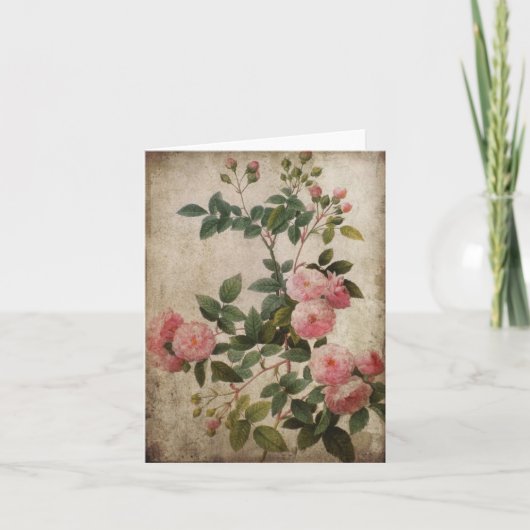 Vintage Pink Roses Note Card. Karte (Vorderseite)