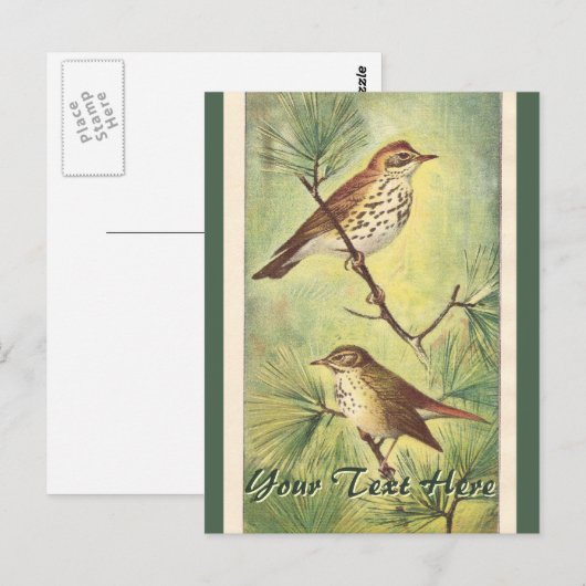 Vintage Pinsel Postkarte (Vorne/Hinten)