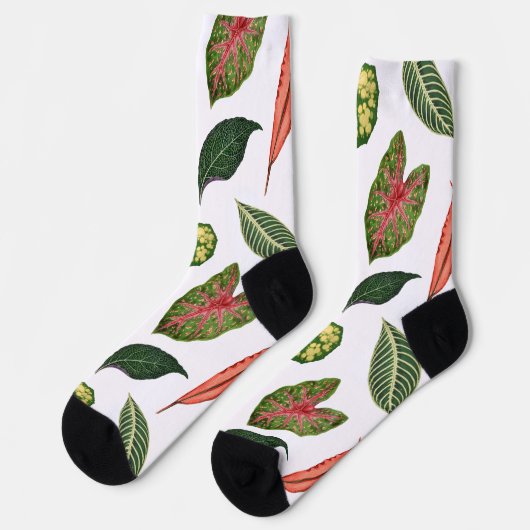 Vintage Plant Leaf Novelty Socks - White Socken (Linkes Detail)