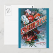 Vintage Platterbsen Postkarte (Vorne/Hinten)