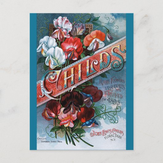 Vintage Platterbsen Postkarte (Vorderseite)