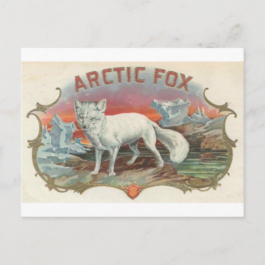 Vintage Polarfuchs Postkarte (Vorderseite)