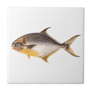 Vintage Pompano-Fisch - Vorlage für Spiel Fische l Fliese