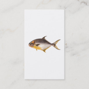 Vintage Pompano-Fisch - Vorlage für Spiel Fische l Visitenkarte