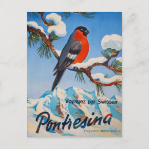 Vintage Pontresina Urlaub Swiss Air Schweiz Postkarte