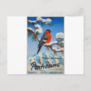 Vintage Pontresina Urlaub Swiss Air Schweiz Postkarte