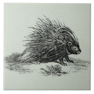 Vintage Porcupine-Illustration Fliese