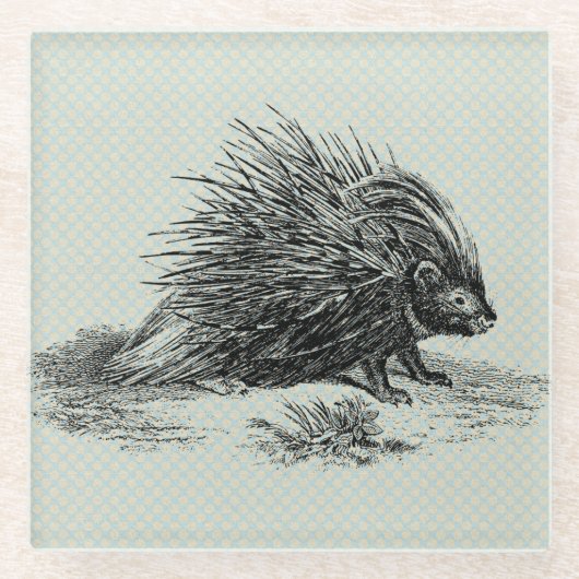 Vintage Porcupine-Illustration Glasuntersetzer (Vorderseite)