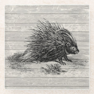Vintage Porcupine-Illustration Glasuntersetzer
