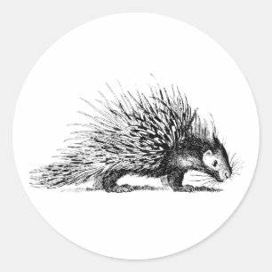 Vintage Porcupine-Illustration - Porcupine aus dem Runder Aufkleber