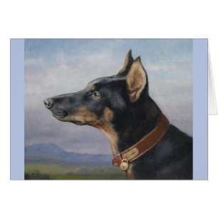 Vintage - Portrait eines Dobermanns,