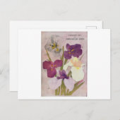 VINTAGE POSTCARD "JAPANESE IRIS" POSTKARTE (Vorne/Hinten)