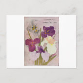 VINTAGE POSTCARD "JAPANESE IRIS" POSTKARTE (Vorderseite)