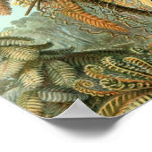 Vintage Poster (Ecke)