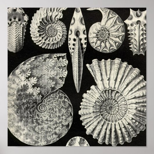 Vintage Poster (Vorne)