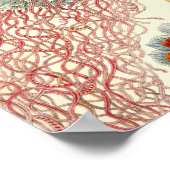 Vintage Poster (Ecke)