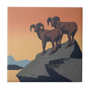 Vintage Poster für Reisen zu Nationalparks Fliese