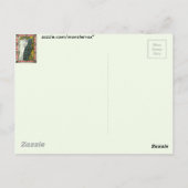 Vintage Poster:Pfau:Frau Postkarte (Rückseite)