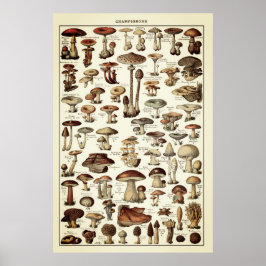 Vintage Poster Print Mushrooms Champignons Chart