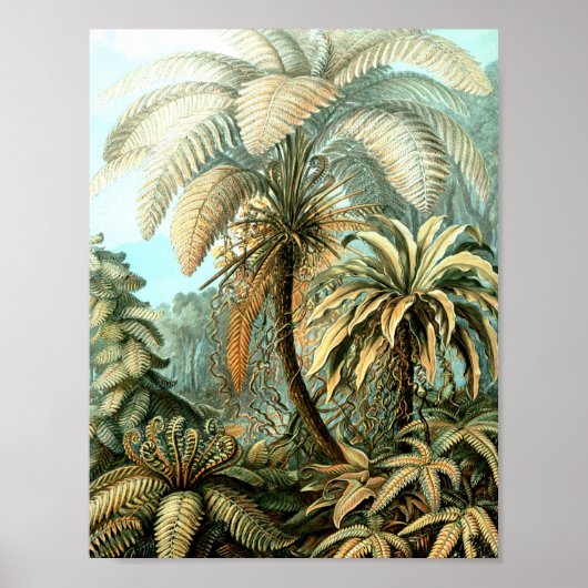 Vintage-Poster von Ernst Haeckels Kunstformen der  Poster (Vorne)