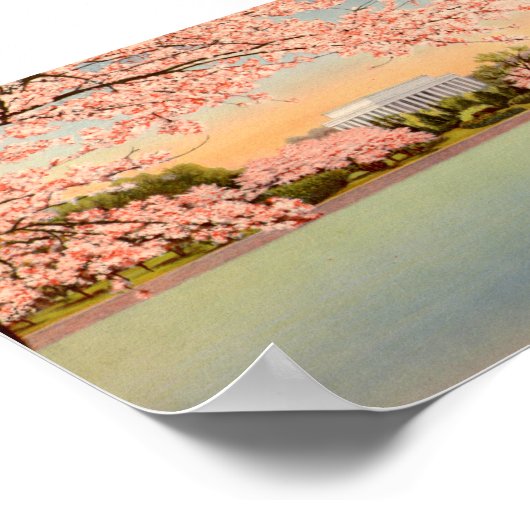 Vintage Poster, Washington DC Poster (Ecke)