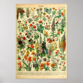 Vintage Poster Wilde Blume Buchseite (Vorne)