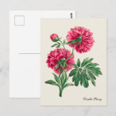 Vintage Postkarte (Vorne/Hinten)