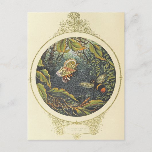 Vintage Postkarte (Vorderseite)