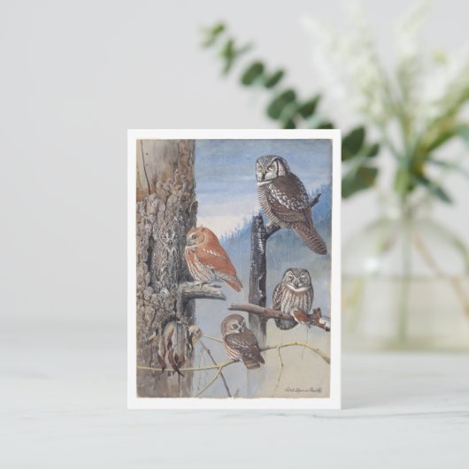 Vintage Postkarte (Stehend Vorderseite)