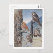 Vintage Postkarte (Vorne/Hinten)