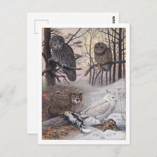 Vintage Postkarte (Vorne/Hinten)