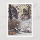 Vintage Postkarte (Vorderseite)