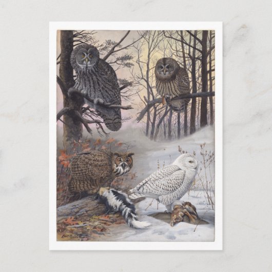 Vintage Postkarte (Vorderseite)