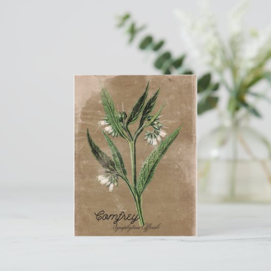 Vintage Postkarte (Stehend Vorderseite)