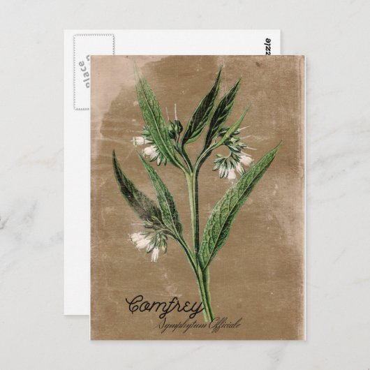 Vintage Postkarte (Vorne/Hinten)