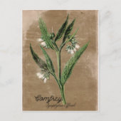 Vintage Postkarte (Vorderseite)