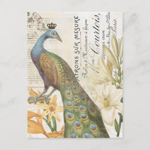 Vintage Postkarte