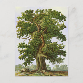Vintage Postkarte