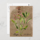 Vintage Postkarte (Vorne/Hinten)