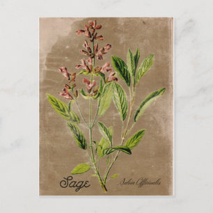 Vintage Postkarte