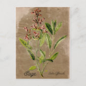 Vintage Postkarte (Vorderseite)